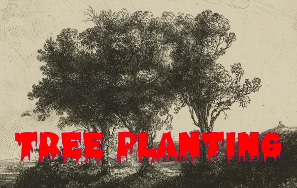 Tree Planting And Adoption
